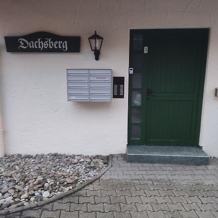 Haus Dachsberg Todtmoos Apartamento Exterior foto