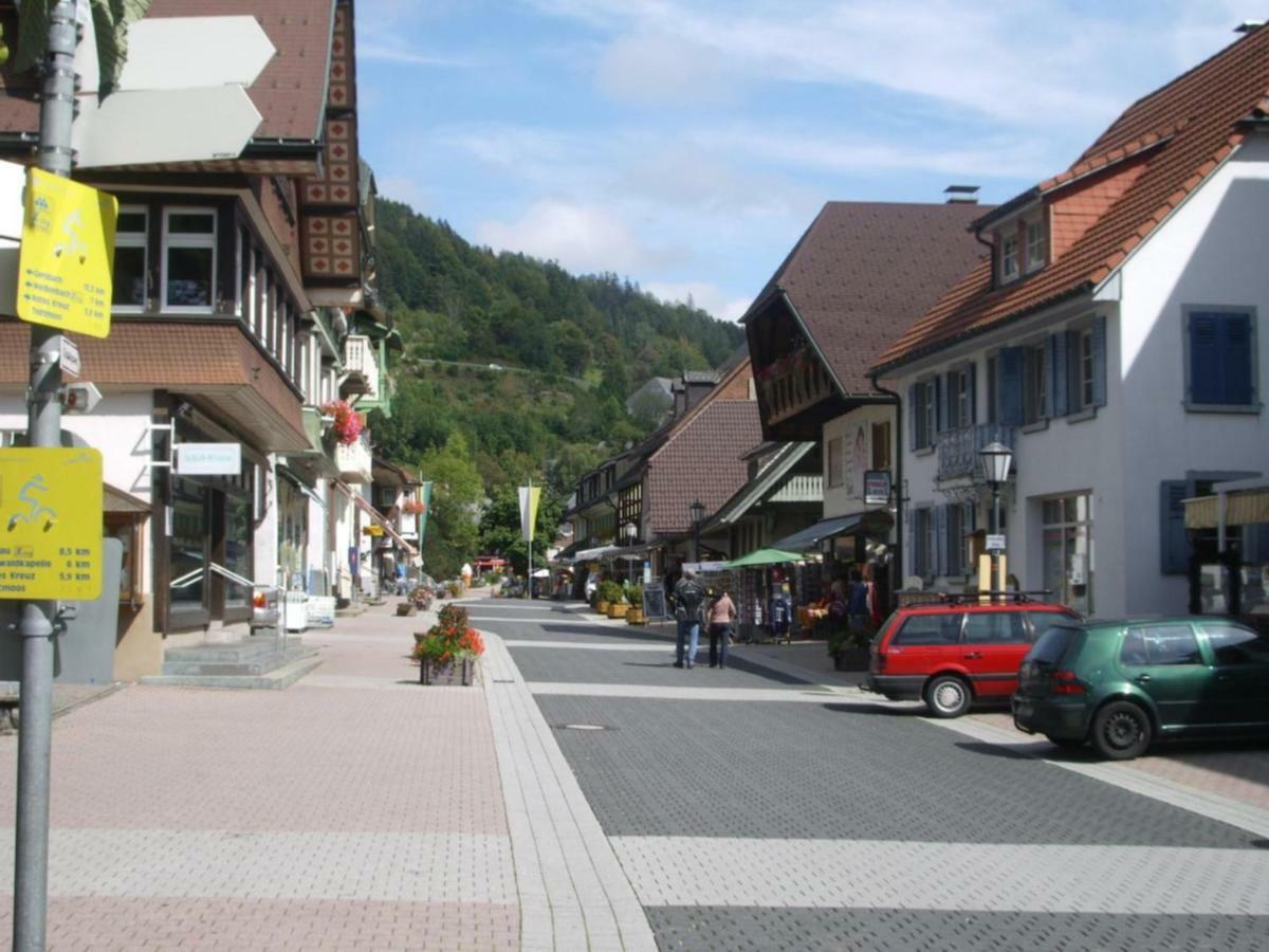 Haus Dachsberg Todtmoos Apartamento Exterior foto