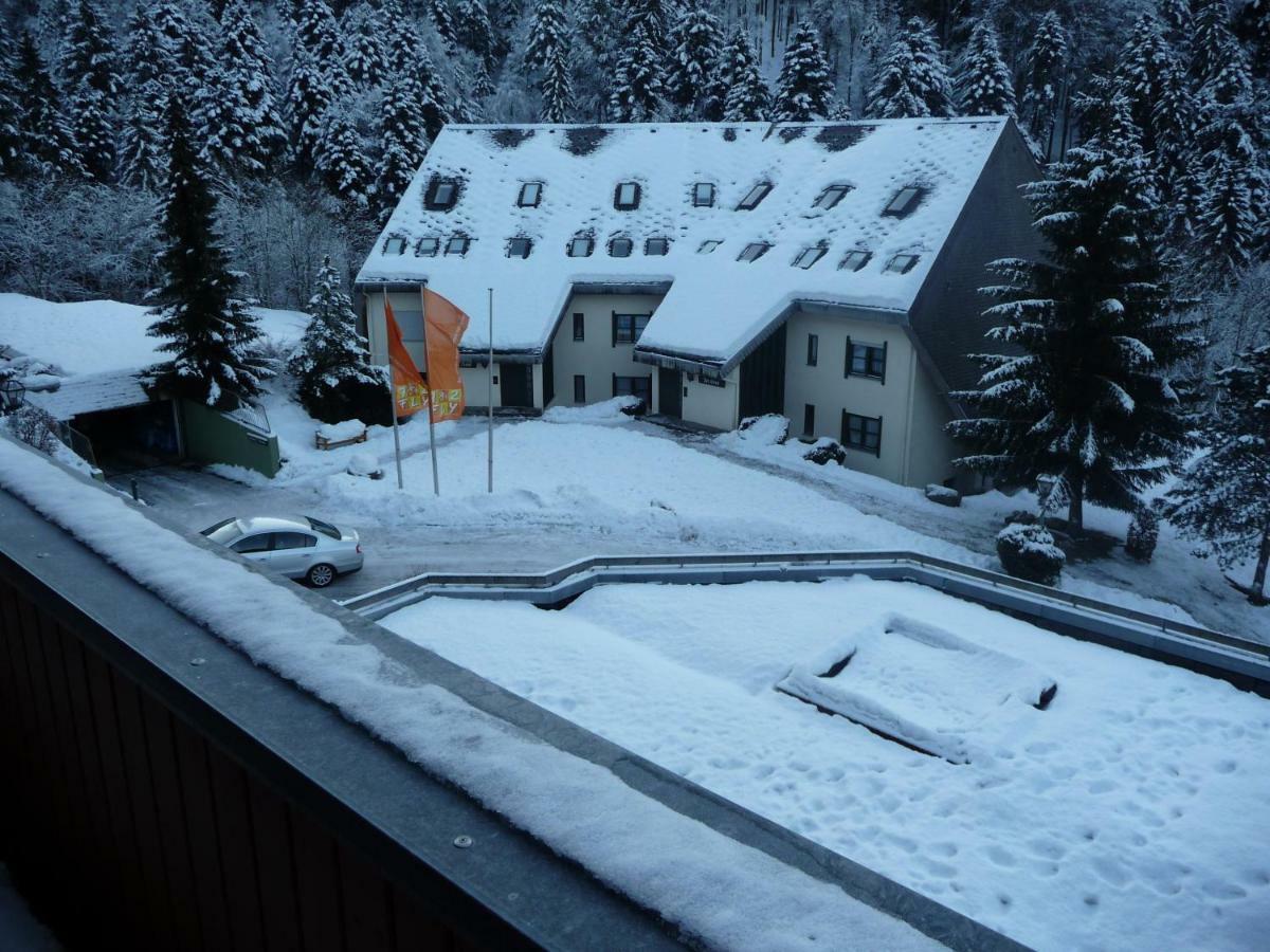 Haus Dachsberg Todtmoos Apartamento Exterior foto