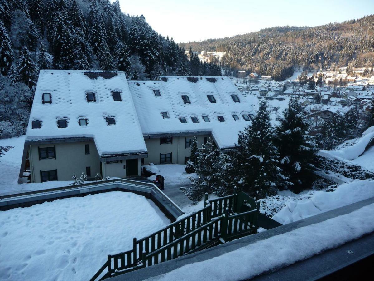 Haus Dachsberg Todtmoos Apartamento Exterior foto